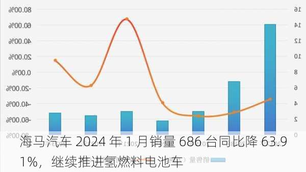 海马汽车 2024 年 1 月销量 686 台同比降 63.91%，继续推进氢燃料电池车