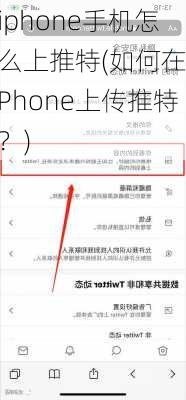 iphone手机怎么上推特(如何在iPhone上传推特？)