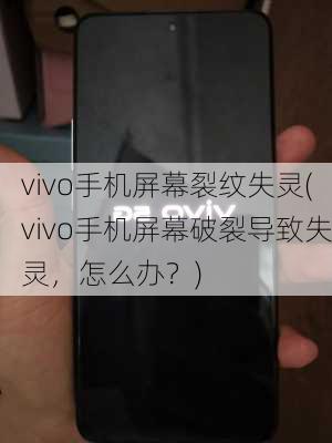 vivo手机屏幕裂纹失灵(vivo手机屏幕破裂导致失灵，怎么办？)