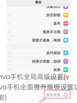 vivo手机全局高级设置(vivo手机全面提升高级设置功能)