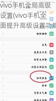 vivo手机全局高级设置(vivo手机全面提升高级设置功能)