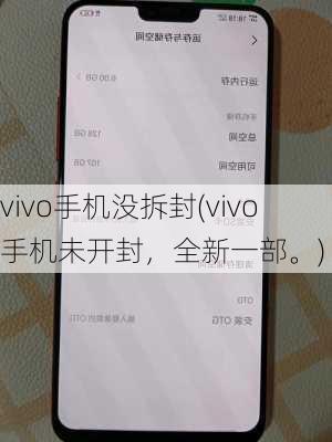 vivo手机没拆封(vivo手机未开封，全新一部。)