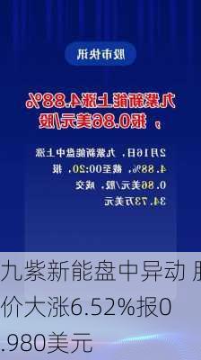 九紫新能盘中异动 股价大涨6.52%报0.980美元