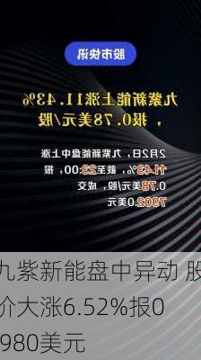 九紫新能盘中异动 股价大涨6.52%报0.980美元