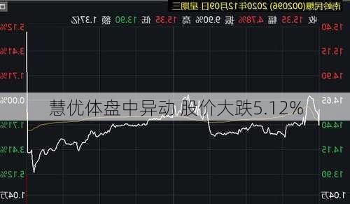 慧优体盘中异动 股价大跌5.12%