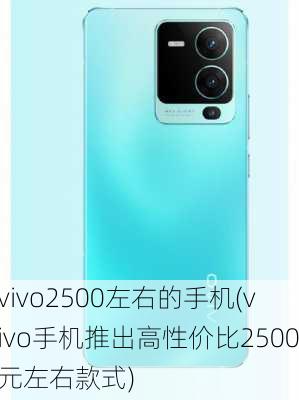 vivo2500左右的手机(vivo手机推出高性价比2500元左右款式)