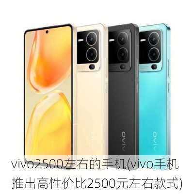 vivo2500左右的手机(vivo手机推出高性价比2500元左右款式)