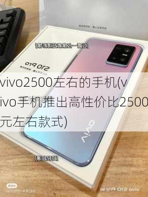 vivo2500左右的手机(vivo手机推出高性价比2500元左右款式)