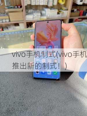 vivo手机制式(vivo手机推出新的制式！)