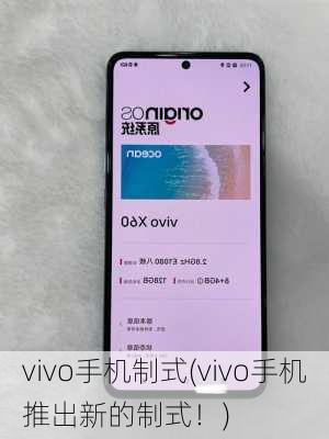 vivo手机制式(vivo手机推出新的制式！)