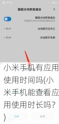 小米手机有应用使用时间吗(小米手机能查看应用使用时长吗？)
