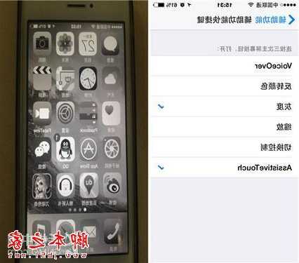 iphone手机灰度模式