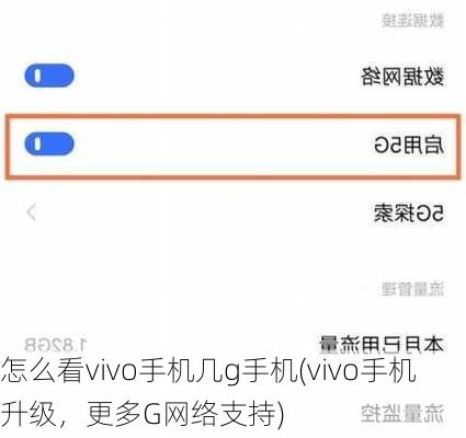 怎么看vivo手机几g手机(vivo手机升级，更多G网络支持)