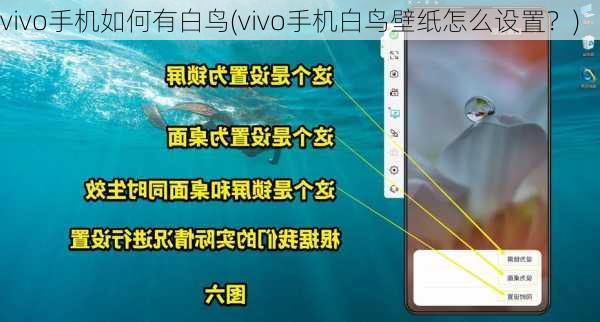 vivo手机如何有白鸟(vivo手机白鸟壁纸怎么设置？)