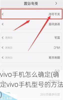 vivo手机怎么确定(确定vivo手机型号的方法)