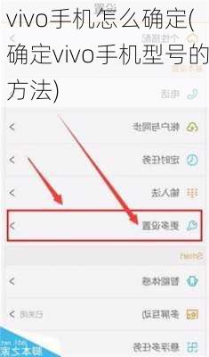 vivo手机怎么确定(确定vivo手机型号的方法)