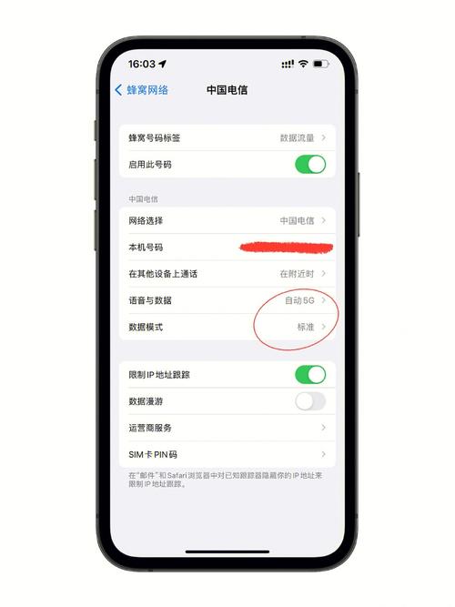 iphone手机当网络