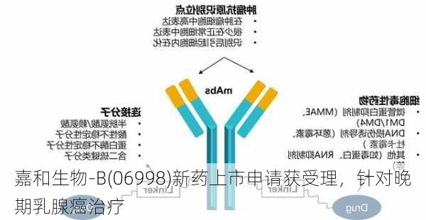 嘉和生物-B(06998)新药上市申请获受理，针对晚期乳腺癌治疗