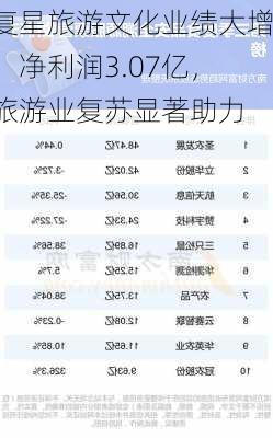 复星旅游文化业绩大增：净利润3.07亿，旅游业复苏显著助力