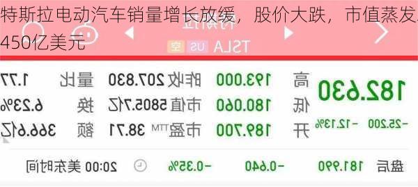 特斯拉电动汽车销量增长放缓，股价大跌，市值蒸发2450亿美元