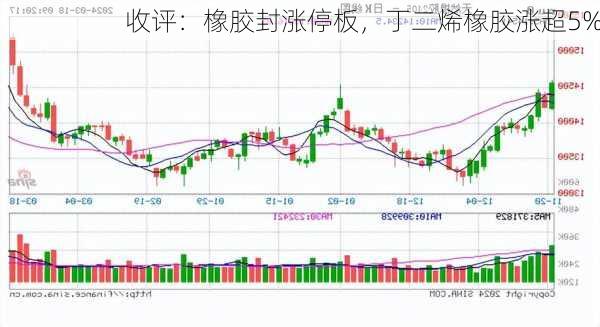 收评：橡胶封涨停板，丁二烯橡胶涨超5%