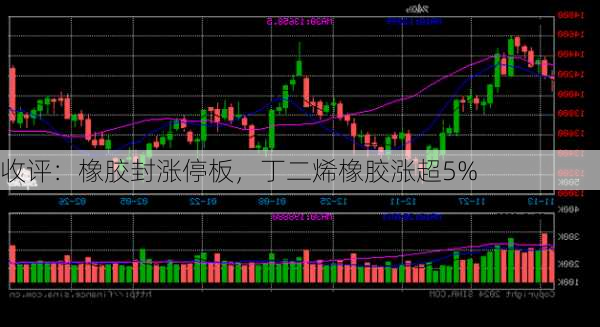 收评：橡胶封涨停板，丁二烯橡胶涨超5%