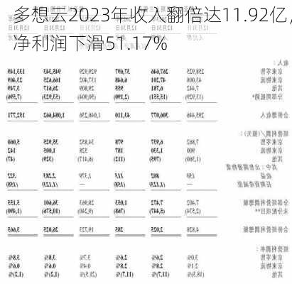 多想云2023年收入翻倍达11.92亿，净利润下滑51.17%