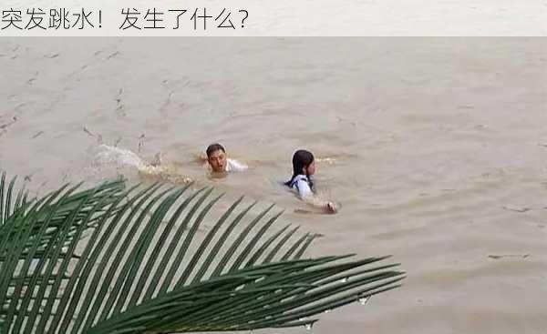 突发跳水！发生了什么？