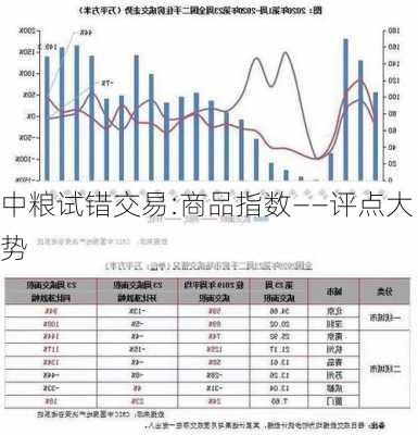 中粮试错交易:商品指数——评点大势