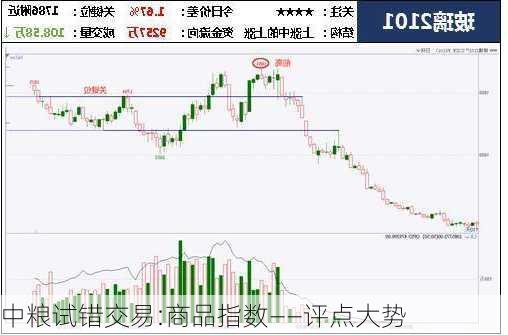 中粮试错交易:商品指数——评点大势