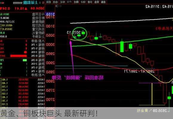 黄金、铜板块巨头 最新研判！