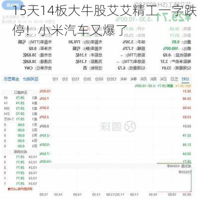 15天14板大牛股艾艾精工一字跌停！小米汽车又爆了