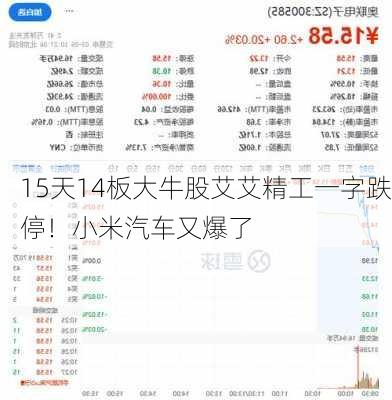 15天14板大牛股艾艾精工一字跌停！小米汽车又爆了