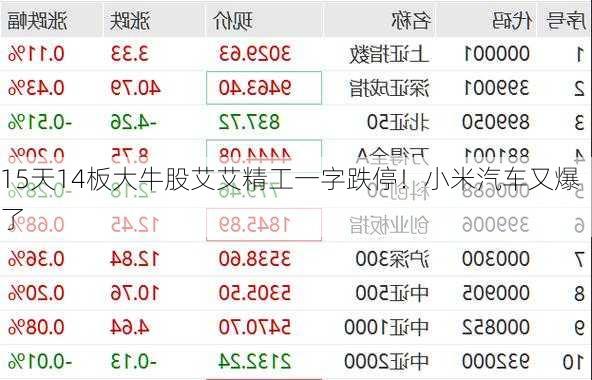 15天14板大牛股艾艾精工一字跌停！小米汽车又爆了