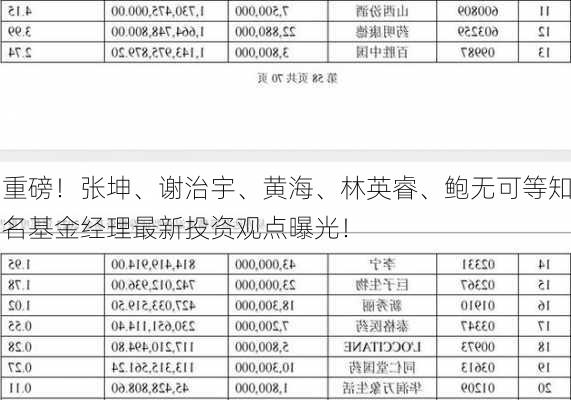 重磅！张坤、谢治宇、黄海、林英睿、鲍无可等知名基金经理最新投资观点曝光！