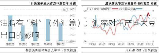 油脂有“料”（外汇篇）：汇率对主产国大豆出口的影响