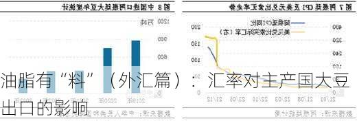 油脂有“料”（外汇篇）：汇率对主产国大豆出口的影响