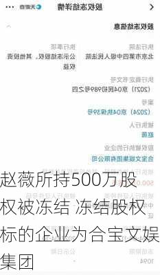 赵薇所持500万股权被冻结 冻结股权标的企业为合宝文娱集团