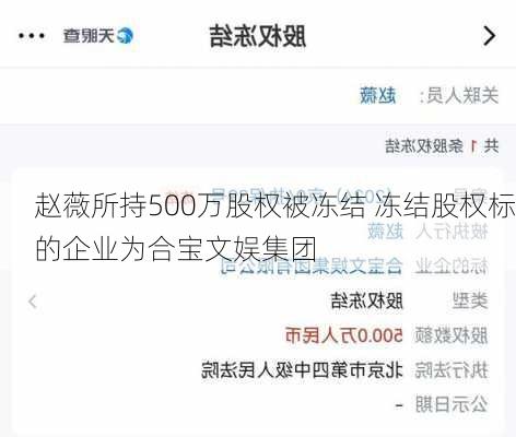 赵薇所持500万股权被冻结 冻结股权标的企业为合宝文娱集团