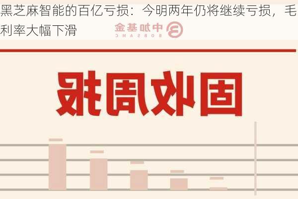 黑芝麻智能的百亿亏损：今明两年仍将继续亏损，毛利率大幅下滑