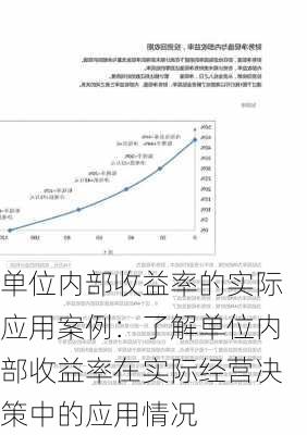 单位内部收益率的实际应用案例：了解单位内部收益率在实际经营决策中的应用情况