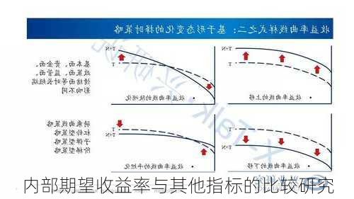 内部期望收益率与其他指标的比较研究