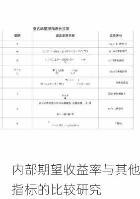 内部期望收益率与其他指标的比较研究