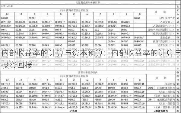 内部收益率的计算与资本预算：内部收益率的计算与投资回报