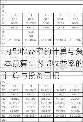 内部收益率的计算与资本预算：内部收益率的计算与投资回报