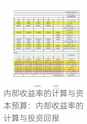 内部收益率的计算与资本预算：内部收益率的计算与投资回报