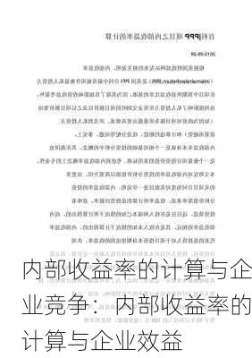 内部收益率的计算与企业竞争：内部收益率的计算与企业效益