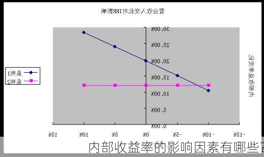 内部收益率的影响因素有哪些？