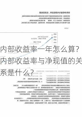 内部收益率一年怎么算？内部收益率与净现值的关系是什么？