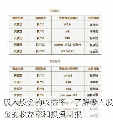 吸入股金的收益率：了解吸入股金的收益率和投资回报